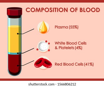 Diagram Showing Composition Blood Illustration Stock Vector (Royalty ...