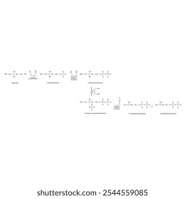 Diagrama da conversão do mevalonato em unidades de isopreno ativado por meio de reações enzimáticas - ilustração de reação bioquímica simples.