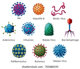 Diagram showing different kinds of viruses illustration