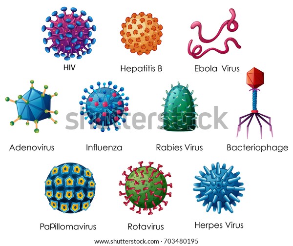 Diagram\
showing different kinds of viruses\
illustration