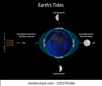 Diagram Showing Earth Tide Illustration Stock Vector (Royalty Free ...