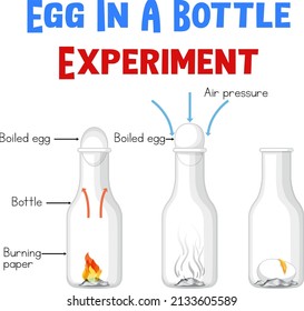 Diagrama que muestra el experimento con la ilustración de huevos