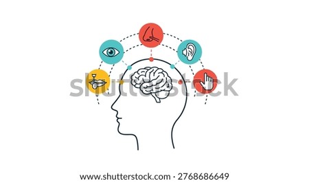 Diagram showing the five human senses of sight, smell, hearing, touch, and taste connected to the brain inside a profile head.