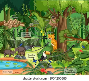 Rainforest Food High Res Stock Images Shutterstock
