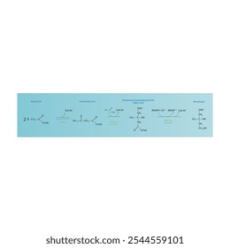 Diagrama da formação de mevalonato de acetil-CoA via reações enzimáticas. Ilustração simples da reação bioquímica.