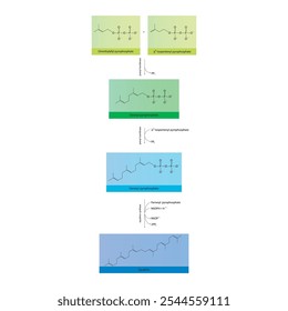 Diagrama da formação do esqualeno por reações enzimáticas. Ilustração simples da reação bioquímica.