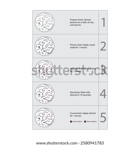 Diagram showing gram staining technique steps - microbiology laboratory using Crystal violet and Safranin