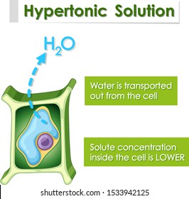 Diagram showing hypertonic solution illustration
