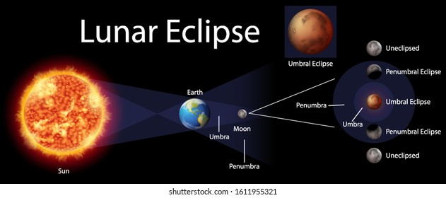 Diagram showing lunar eclipse on earth illustration