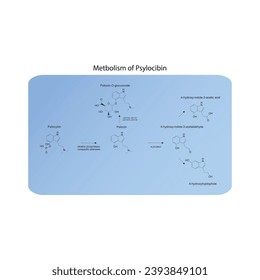 Diagrama que muestra el metabolismo de las vías metabólicas de Psilocybin a través de fosfatasa alcalina, esterasas, MAO, UGT y más. Biotransformación.Ilustración científica sobre fondo azul.