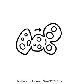 Diagrama do Processo de Divisão da Célula da Mitose