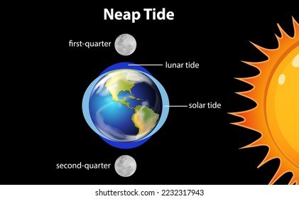 Diagram showing neap tides illustration