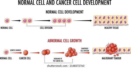 Diagram showing normal and cancer cell illustration