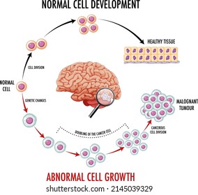 Diagram showing normal cell development illustration