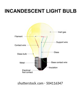 Diagram showing the parts of a modern incandescent light bulb. labeled