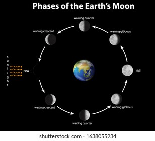 Diagram showing phases of earth moon illustration