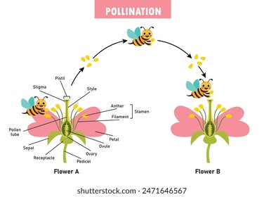 Diagram Showing Pollination With Flower And Bee