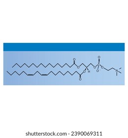 Diagrama que muestra la estructura molecular esquemática de la ilustración vectorial Científica de la fosfatidilcolina azul.