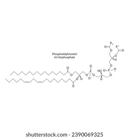 Diagramm mit schematischer Struktur von Phosphatidylinositol 4,5-bisphosphat Wissenschaftliche Vektorgrafik.