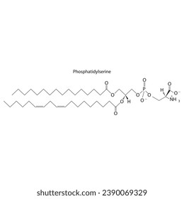 Diagramm mit schematischer Struktur der Phosphatidylserin Wissenschaftliche Vektorgrafik.