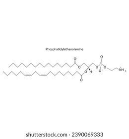 Diagrama que muestra la estructura molecular esquemática de la ilustración vectorial científica de la fosfatidiletanolamina.