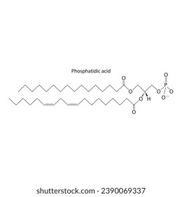 Diagram showing schematic molecular structure of Phosphatidic acid Scientific vector illustration.