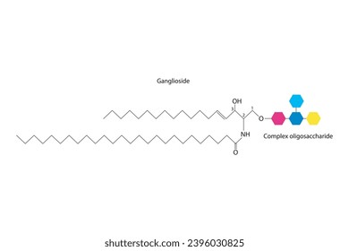 Diagram showing schematic molecular structure of Ganglioside Scientific vector illustration.
