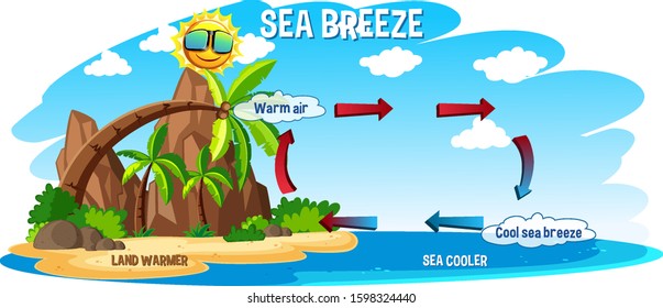 Diagram showing sea breeze with ocean and land illustration