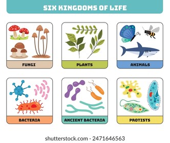 Diagram Showing Six Kingdoms Of Life