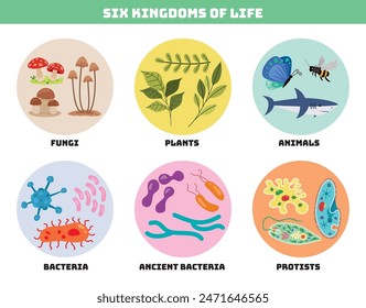 Diagram Showing Six Kingdoms Of Life