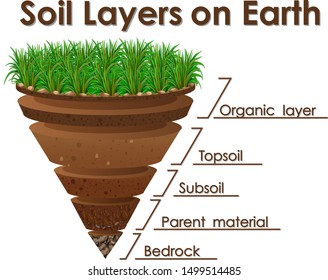 Diagram Showing Soil Layers On Earth Illustration