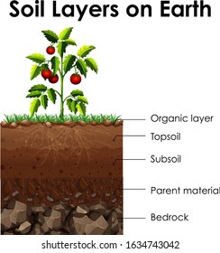 Diagram showing soil layers on earth illustration