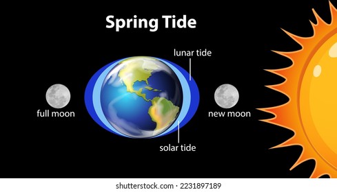 Diagram showing spring tides illustration