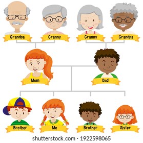 Diagram showing three generation family tree illustration