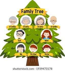 Diagram showing three generation family tree illustration