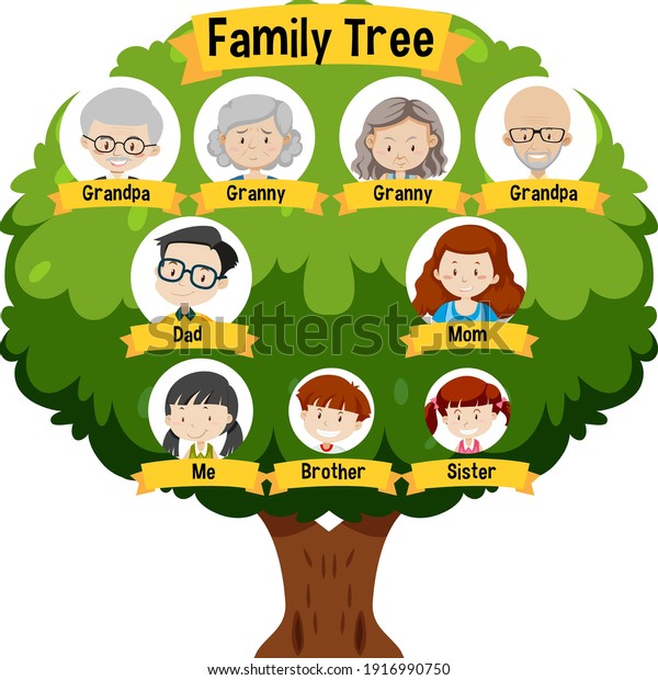 Diagram\
showing three generation family tree\
illustration