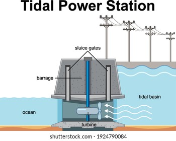 Diagram showing Tidal Power Station illustration