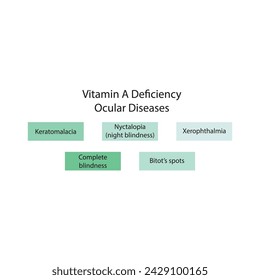 Diagram showing Vitamin A deficiency related ocular diseases - keratomalcia, xerophthalmia, night blindness, bitot's spots - simplified schematic diagram.