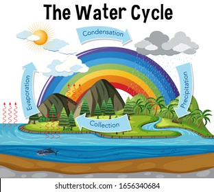 Diagram showing water cycle with rainfall and ocean illustration