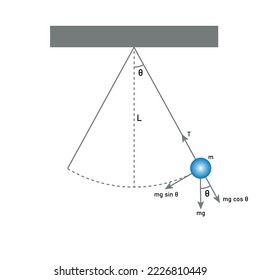 Diagram of simple pendulum harmonic motion. Scientific vector illustration isolated on white background.