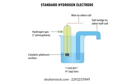 Diagram of the standard hydrogen  electrode