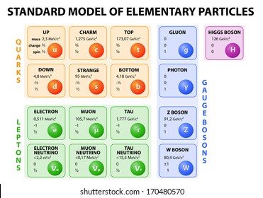 Diagram Of The Standard Model Of Particle Physics. 12 Fundamental Particles That Make Up Matter And 4 Fundamental Force Carriers. Vector. 