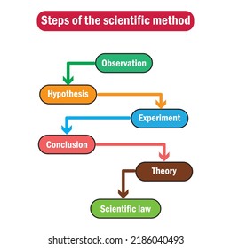 62 Steps Scientific Method Images, Stock Photos & Vectors | Shutterstock