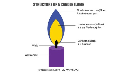 Diagram of the structure of a candle