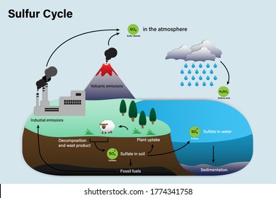 Diagrama del ciclo del azufre, ciclo biogeoquímico para la educación