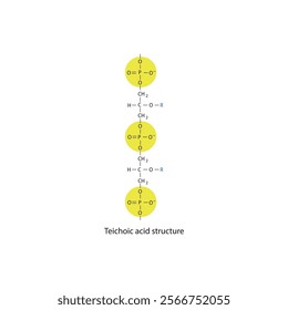 Diagram of Teichoic acid segment made of phosphate, glycerol, and a side chain - schematic molecular structure illustration. skeletal structure diagram. compound molecule scientific illustration.