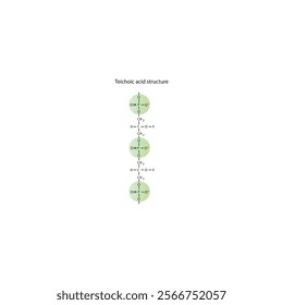 Diagram of Teichoic acid segment made of phosphate, glycerol, and a side chain - schematic molecular structure illustration. skeletal structure diagram. compound molecule scientific illustration.