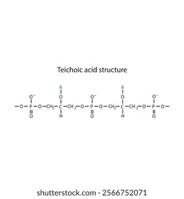 Diagram of Teichoic acid segment made of phosphate, glycerol, and a side chain - schematic molecular structure illustration. skeletal structure diagram. compound molecule scientific illustration.