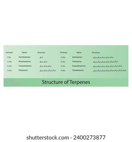 Diagram of Terpenes structure - Hemiterpenes, Monoterpenes, Diterpenes, Tetraterpenes and more - skeletal structure.