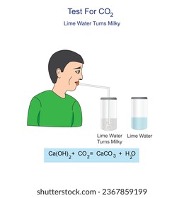 Diagramm für die Prüfung von Kohlendioxidgas. Kohlendioxid durch Kalkwasser, bildet es einen festen Niederschlag von Calciumcarbonat und Kalkwasser wird milchig.